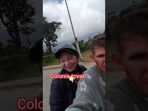 colonia Tovar Aragua Venezuela. rutas y paisajes bonitos