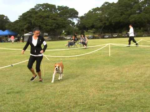 Gomes' Renewed Hope Ruff And Ready CGC