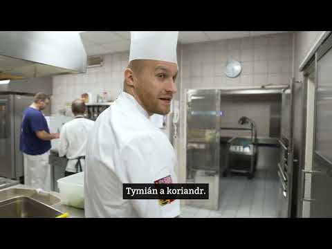 #32otazek s kuchařem MZV - Petr Král