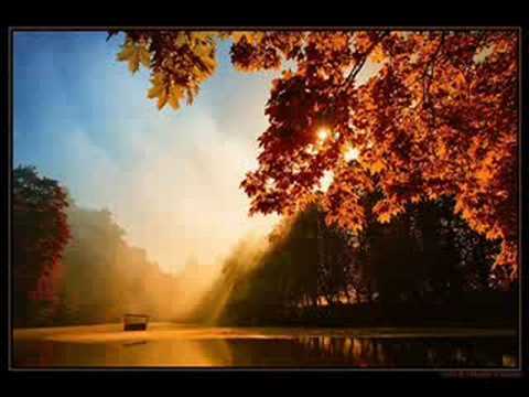 Djuka Caic - Sve Dok Dunav Protice