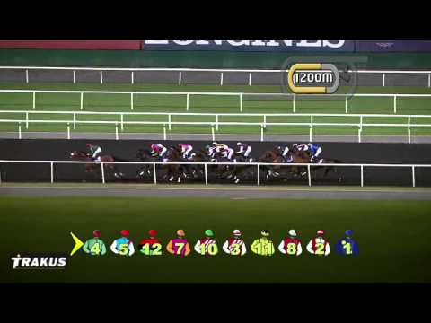 15.02.2014 Meydan (Dubai-UAE) 1.Race Longines Prima Luna - Maiden 2.200 m