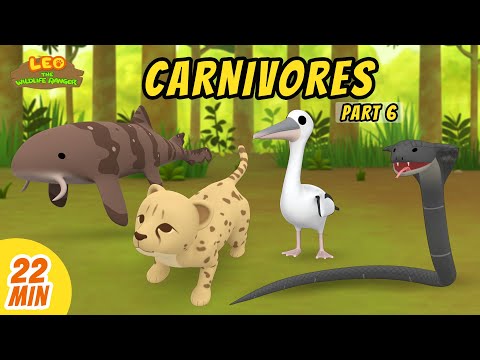 Carnivores Minisode Compilation (Part 6/6) - Leo the Wildlife Ranger | Animation | For Kids | Family