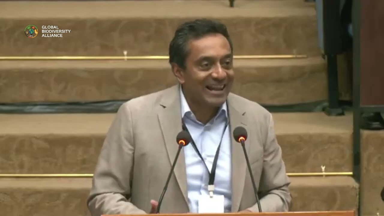Love isn’t enough: Conservation International CEO calls for investing in nature