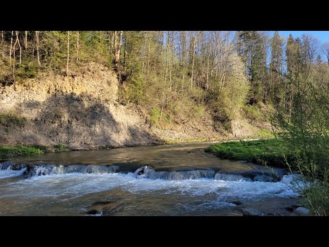 Discover Biały Dunajec: Serene River Walk in the Polish Countryside #Poland🇵🇱