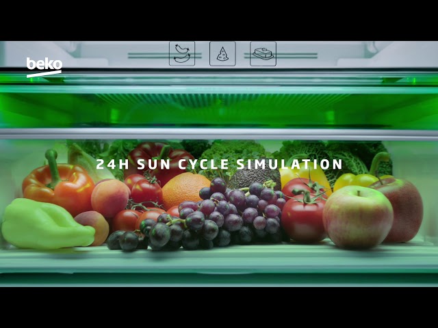 YouTube Video -