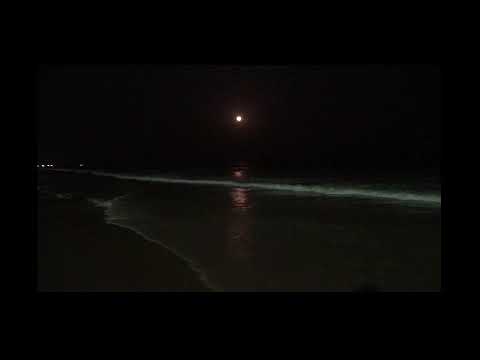 Gopalpur on sea Holi 2022@Debasish439