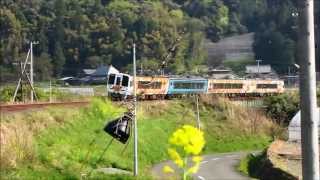 preview picture of video 'JR四国 土讃線 振り子特急　南風　徳島 香川 エリア 2013. 4'