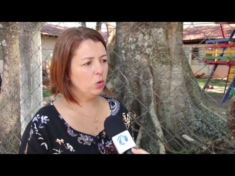 Árvore centenária provoca rachaduras em imóvel