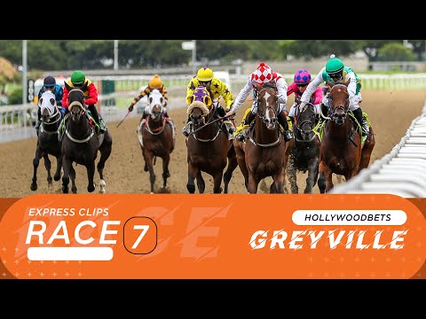 20220627 Hollywoodbets Greyville Race 7 Express Clip won by METEORIC