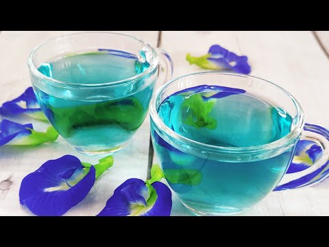 Blue tea Recipe | Butterfly pea Flower tea | Aparajita Flower tea | Blue tea Benefits