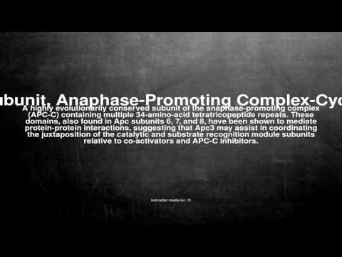 Medical vocabulary: What does Apc3 Subunit, Anaphase-Promoting Complex-Cyclosome mean