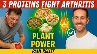 Top 3 Plant-Based Proteins for Arthritis Relief You Will Regret Ignoring for Years