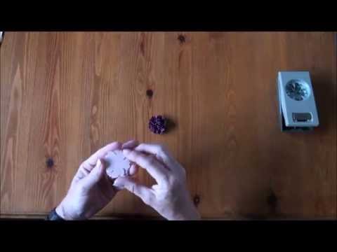 Pansy Punch Carnation - Simple Paper Flowers