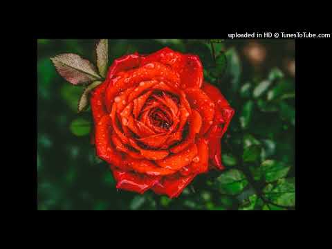 LEFTI SM, UNDER SIDE 821 (CINCOS) - MIS TENIS ROTOS (VIDEO OFICIAL) #RAP