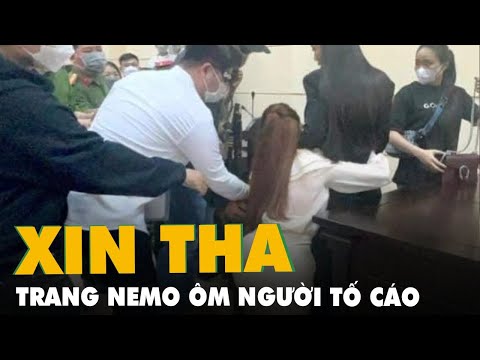 Trang Nemo có loạt trạng thái đáng chú ý sau khi quỳ gối xin lỗi bị hại  - Tinmoi