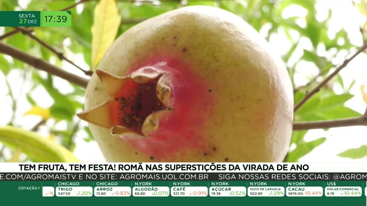 Tem fruta, tem festa! Romã nas superstições da virada de ano