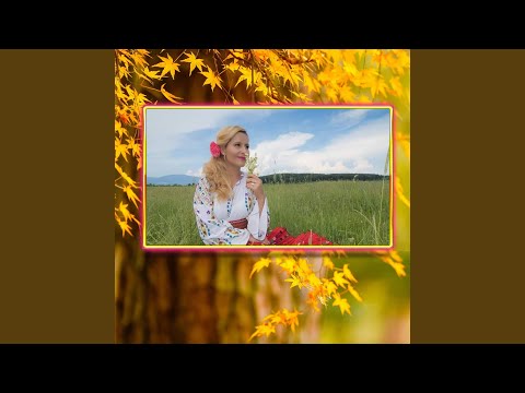 Nu Te Pot Mandro Iubi