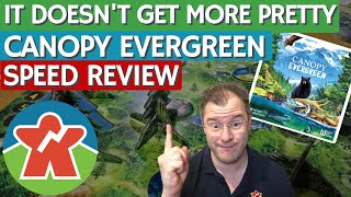 Canopy Evergreen - Board Game Review - It Doesn't Get More Pretty!