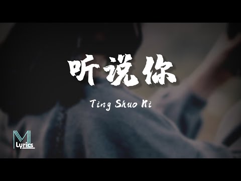 Yu Dong Ran (于冬然) - Ting Shuo Ni (听说你) Lyrics 歌词 Pinyin/English Translation (動態歌詞)