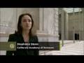 Cal Academy Comes To Life KQED QUEST