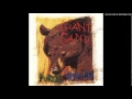 Giant Sand - Santana, Castanada & You [from 'Purge & Slouch', 1993]