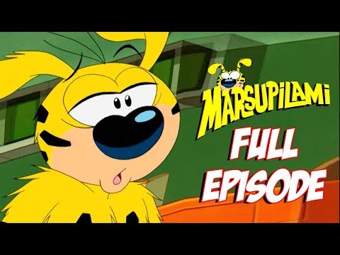 The Marsupilami in the Ring | Marsupilami | ZeeToons - Cartoons for All 📺