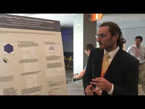 Thorcon Power Plant Transient Behavior Analysis