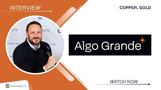 Algo Grande Copper: Erkundung eines vielversprechenden Kupfer-Gold-Projekts in Mexiko