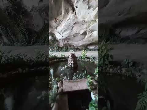 Gruta   de  sacramento  mg