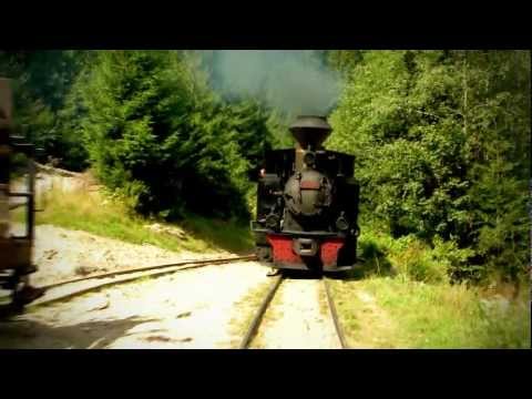 Mocanita - Viseul de Sus