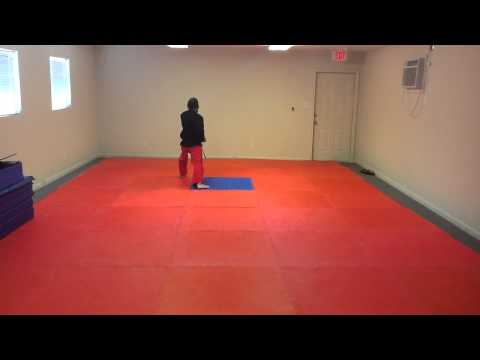 Hwa-Rang Tae Kwon Do Form - Back View Slow