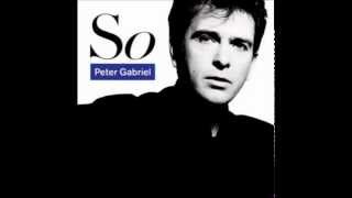 Peter Gabriel - This is the picture