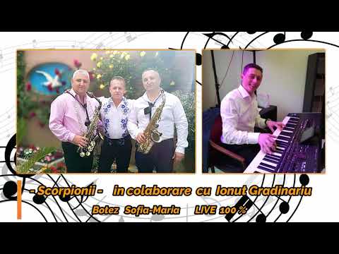 Vasi Popan ‖ Program banat ‖ LIVE 2019