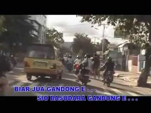 Beta Maluku voc  All Artis