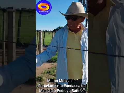 Desde el municipio Pedraza
