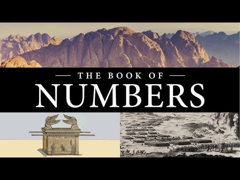 Numbers 1-36