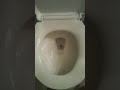 Isaac Sees If Mms Flush In A Toilet