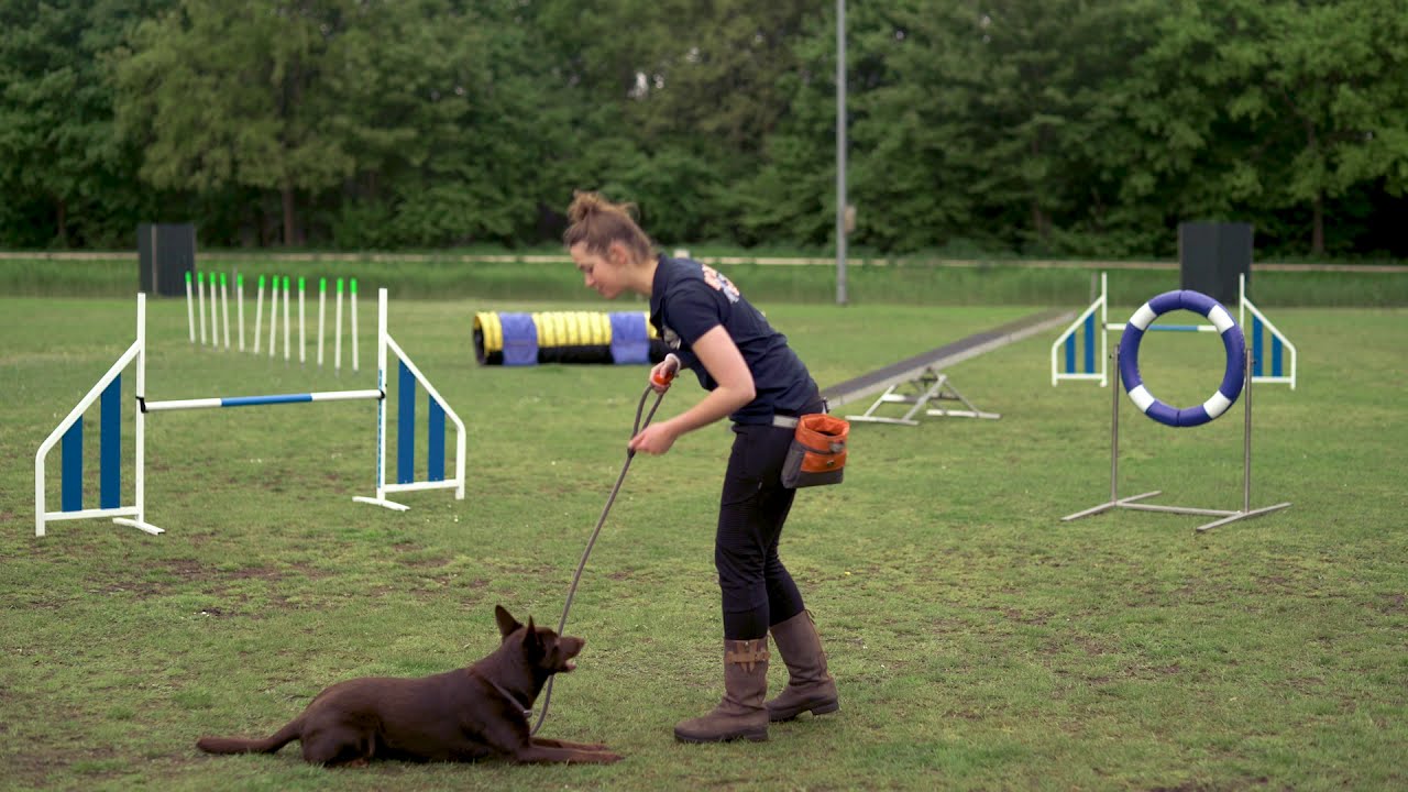 video image