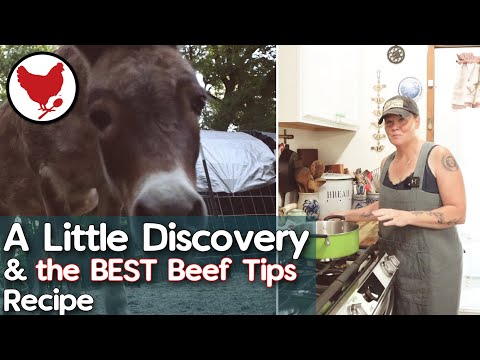 A Little Discovery | Best and Easiest Beef Tips Recipe