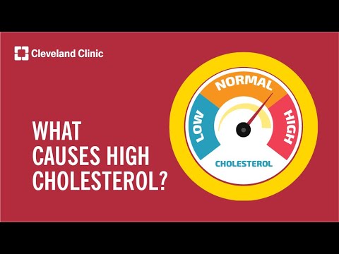 What Causes High Cholesterol?