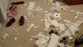 Little Guy's big mess