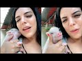 Funniest Animals Funniest Pranks On Dogs Cats Funny Animal Videos TRY NOT TO LAUGH
