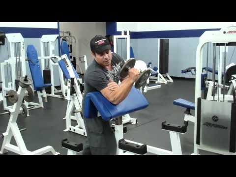 Dumbbell Hammer Curls On The Preacher Curl Bench