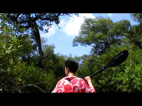 Video thumbnail for Fairytale Lullaby