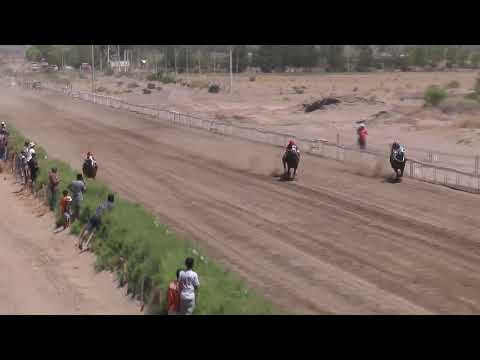 SALVADOR Club Hipico Añelo, Domingo 12 de enero 2025