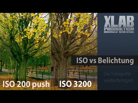 ISO vs Nachbelichten im RAW-Konverter
