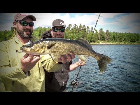 Aikens Lake Wilderness Lodge (Overview)