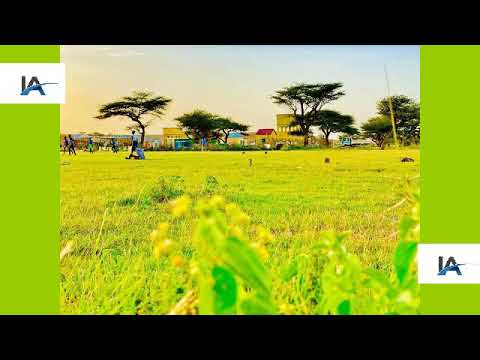 KUSOW KURTUNWAREY || HADIJOW ||