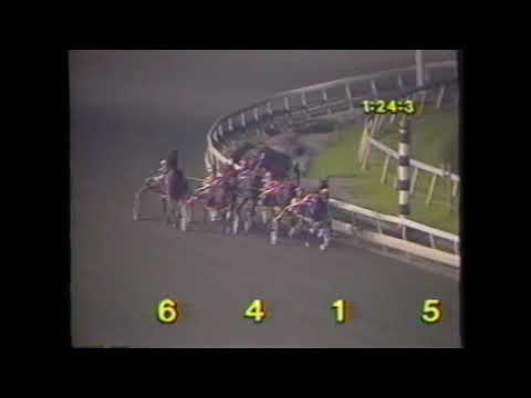 1989 Meadowlands CAMTASTIC Invitational Pace $40,000