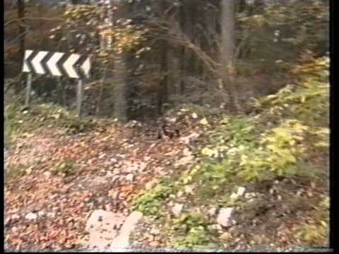 rally della carnia crash clio